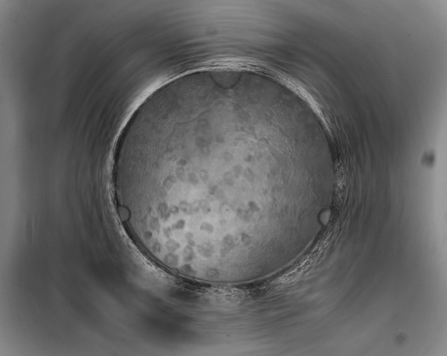 X0000101221091200806271441