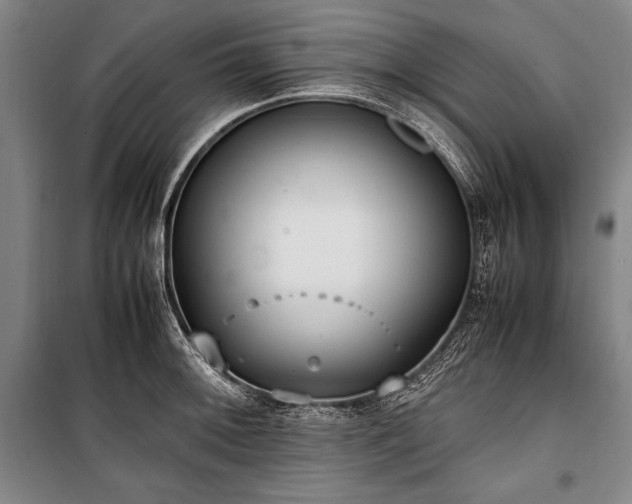 X0000101221092200806271441