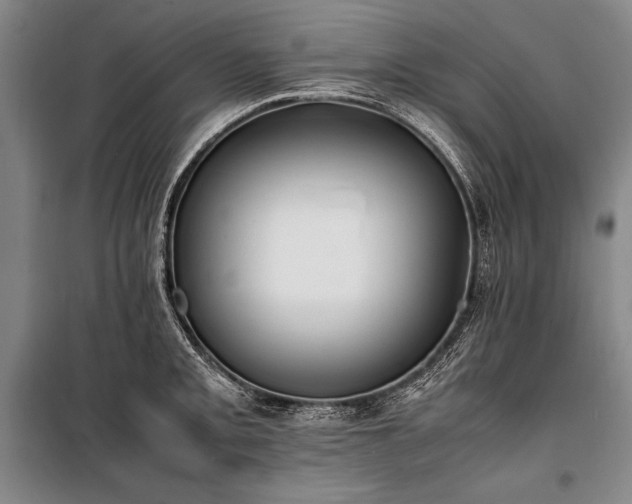 X0000101221093200806271441