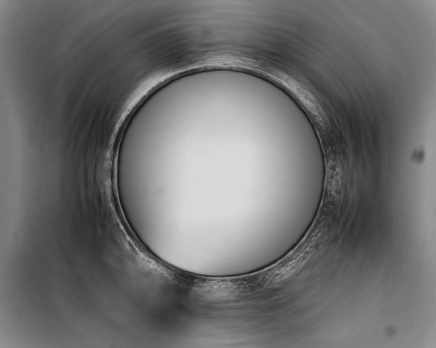 X0000101221094200806271441