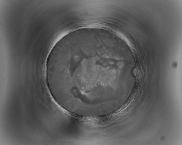X0000101221095200806271441