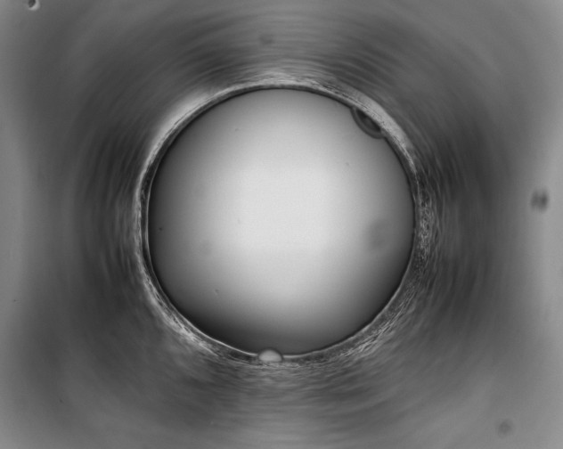 X0000101221096200806271441