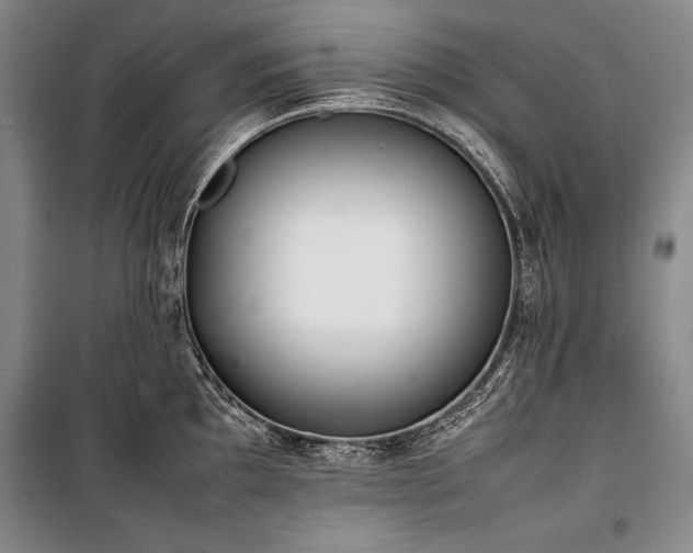 X0000101221097200806271441
