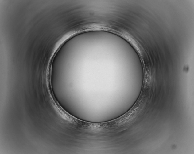 X0000101221098200806271441