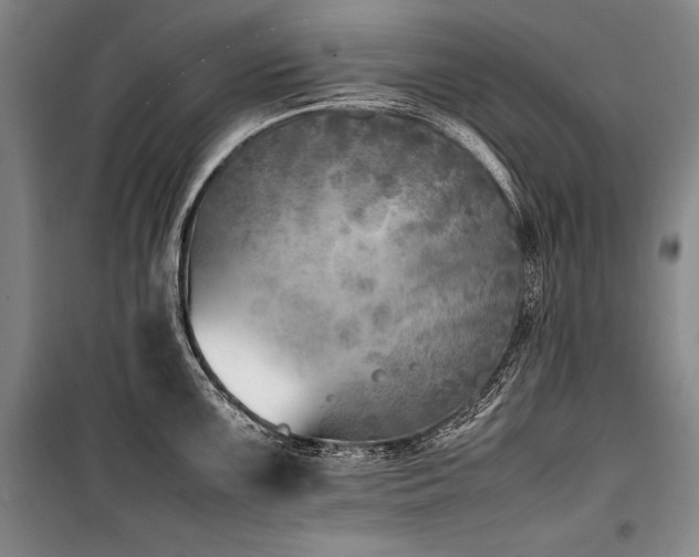X0000101221099200806271441