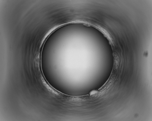 X0000101221100200806271441