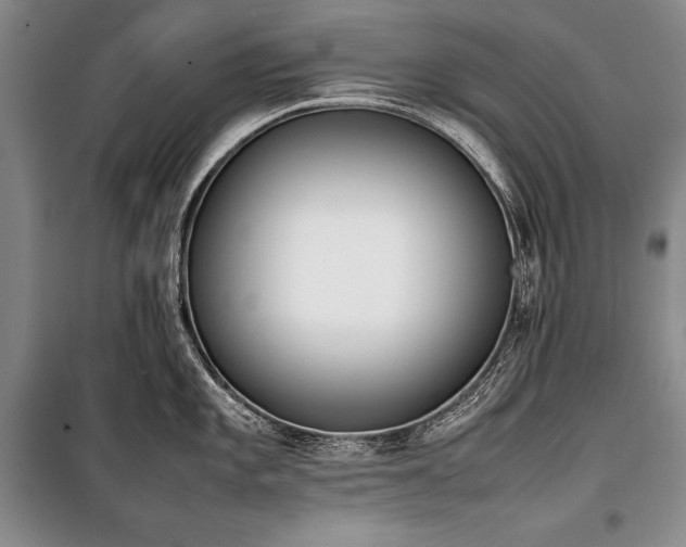 X0000101221101200806271441