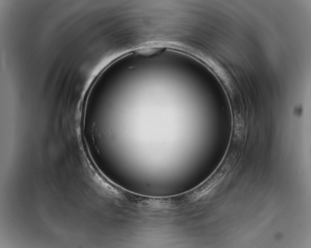 X0000101221102200806271441