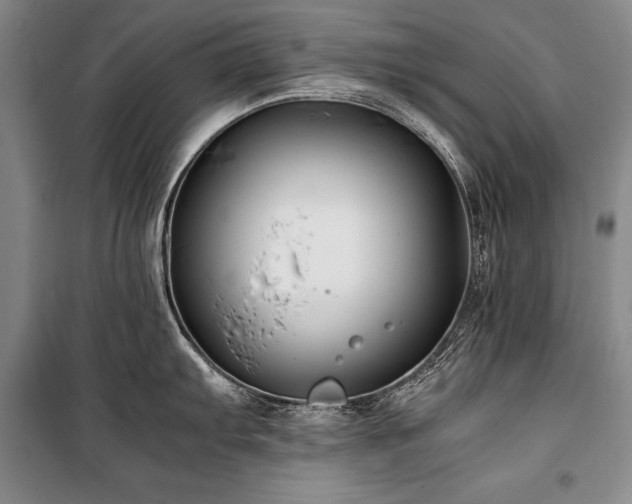 X0000101221103200806271441