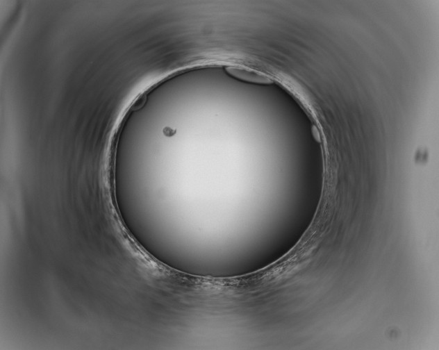 X0000101221104200806271441