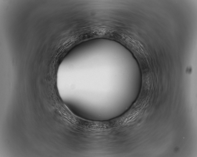 X0000101221105200806271440