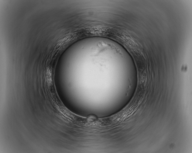 X0000101221106200806271440