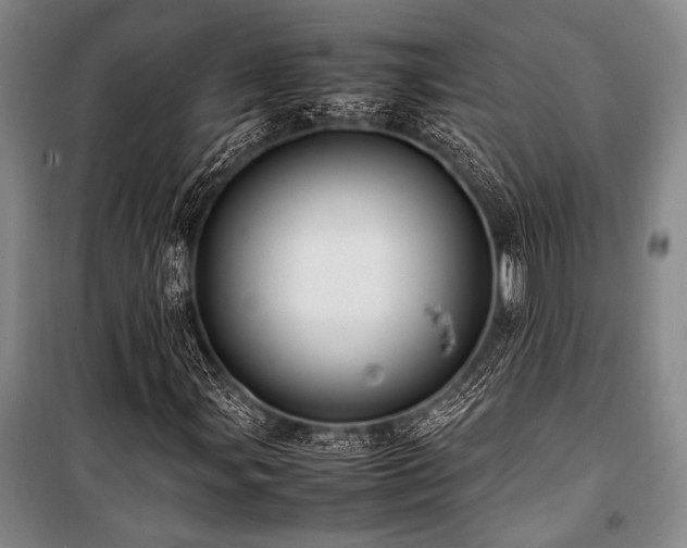 X0000101221107200806271440