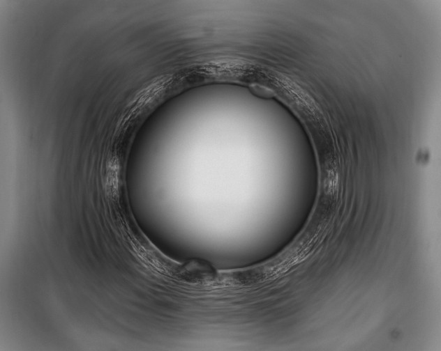 X0000101221108200806271441