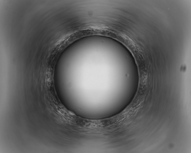 X0000101221110200806271441