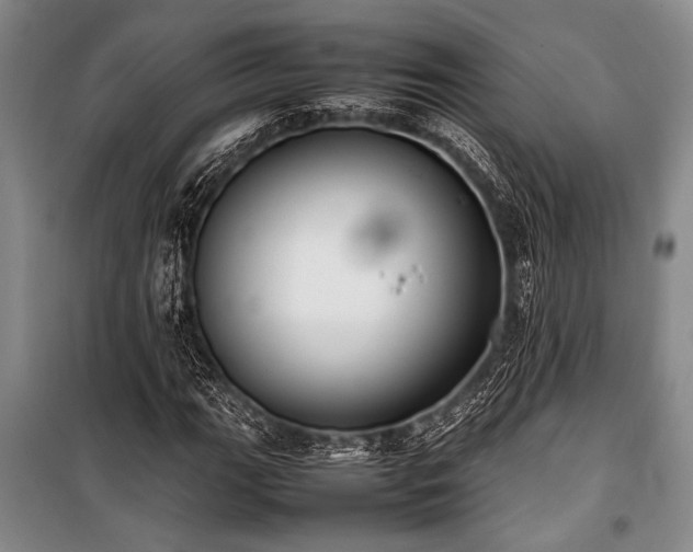X0000101221111200806271441