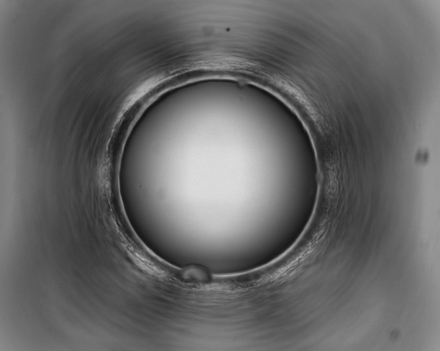 X0000101221114200806271441