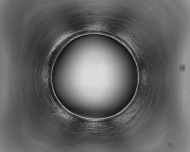 X0000101221115200806271441