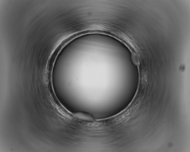 X0000101221116200806271441