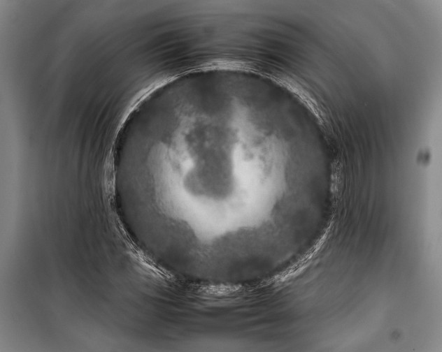X0000101221117200806271441