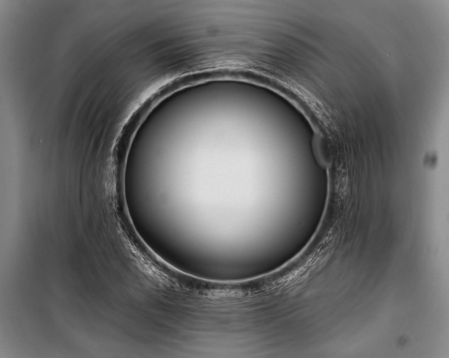 X0000101221118200806271441