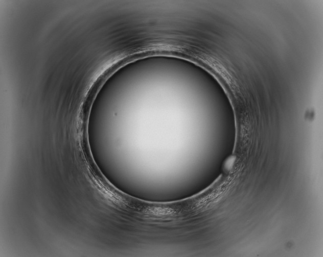 X0000101221119200806271441