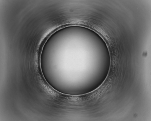 X0000101221120200806271441