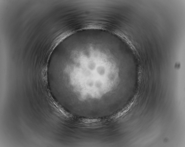 X0000101221121200806271441