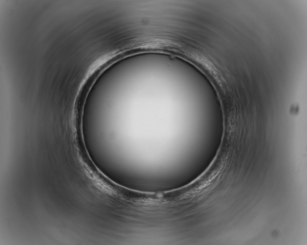 X0000101221122200806271441