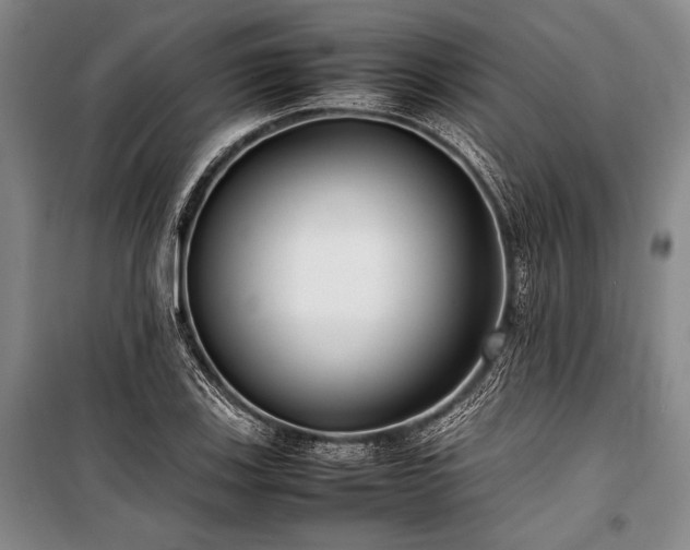X0000101221123200806271441