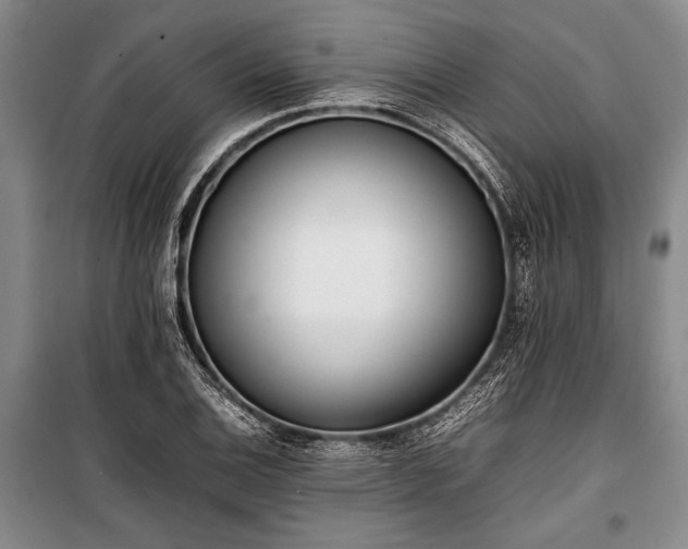 X0000101221124200806271441