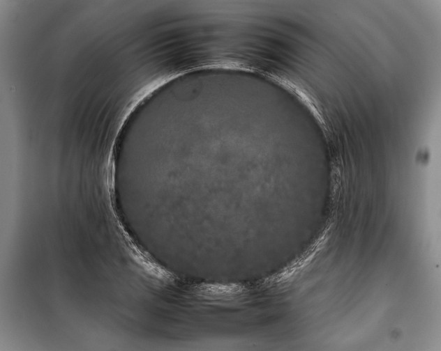 X0000101221125200806271441