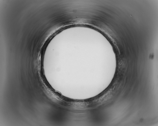 X0000101221126200806271441