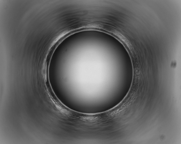 X0000101221127200806271441