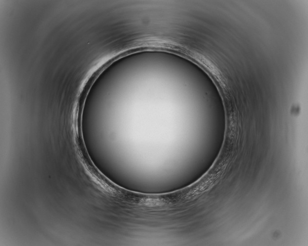 X0000101221128200806271441