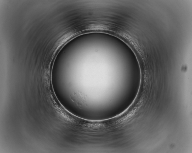 X0000101221129200806271441