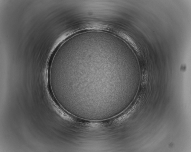 X0000101221130200806271441