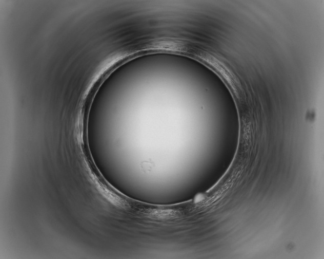 X0000101221131200806271441