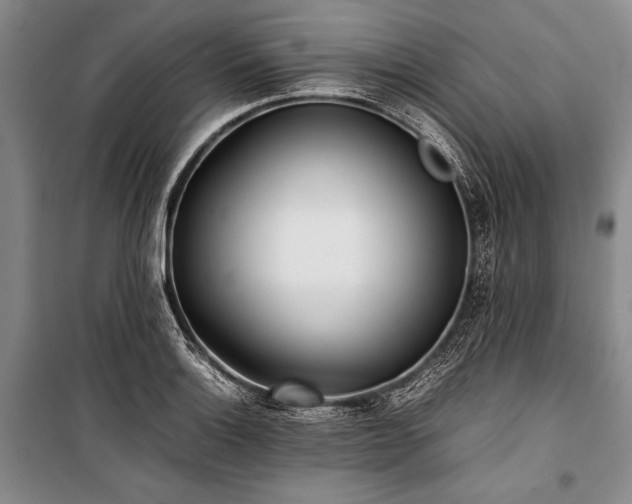 X0000101221132200806271441