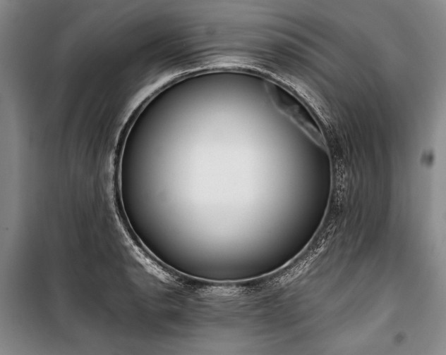 X0000101221134200806271441