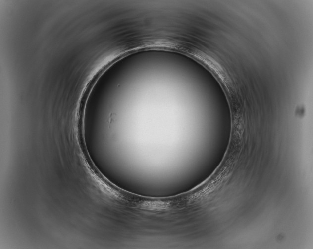 X0000101221135200806271441