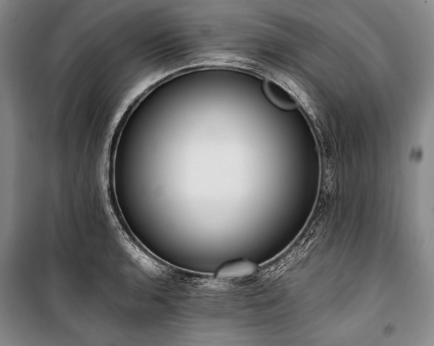 X0000101221136200806271441