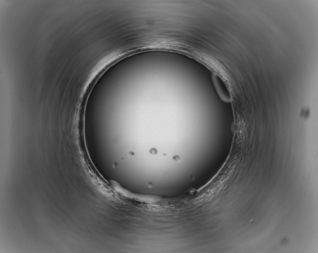 X0000101221138200806271441