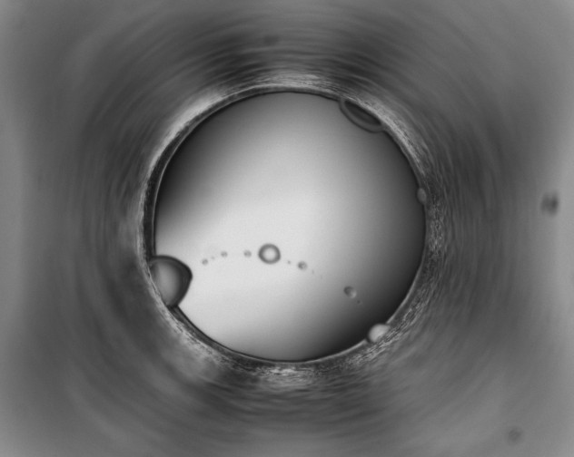 X0000101221139200806271441