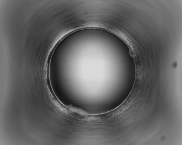 X0000101221140200806271441