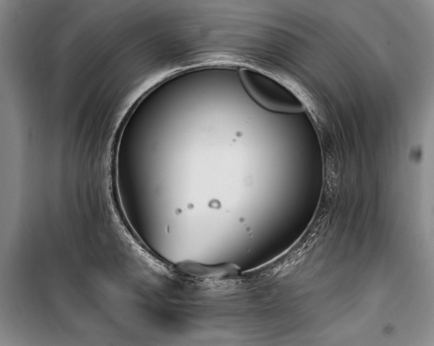 X0000101221142200806271441