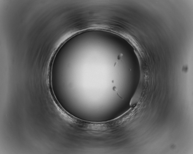 X0000101221143200806271441