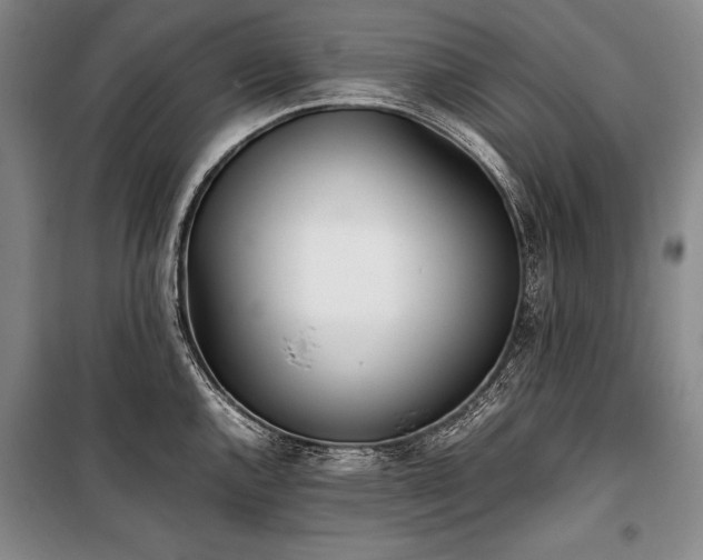 X0000101221144200806271441