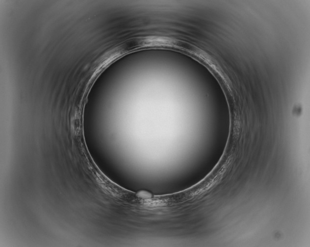 X0000101221145200806271441