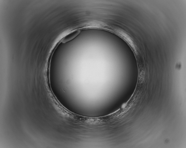 X0000101221146200806271441